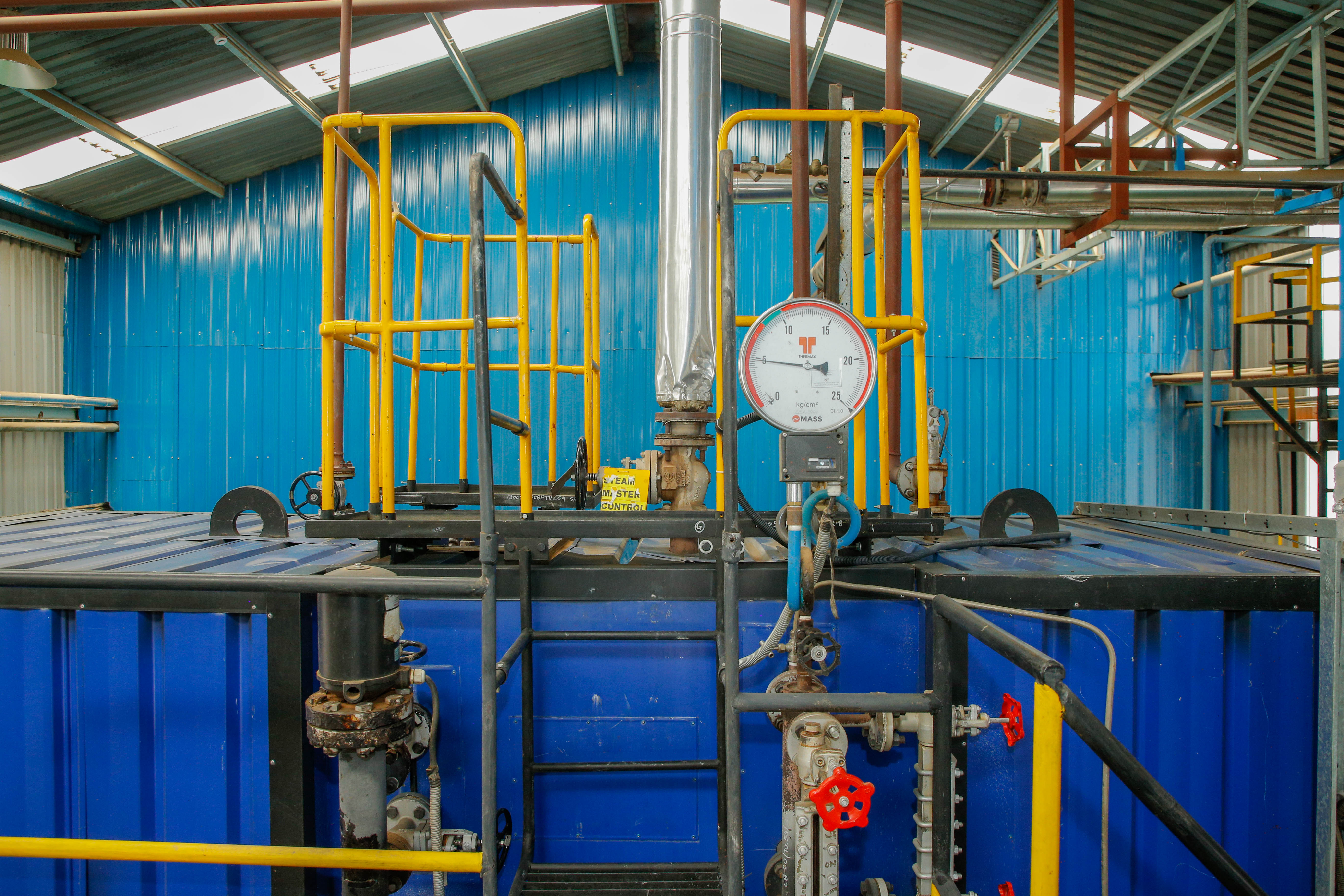 Biomass fuel delivery for commissioning